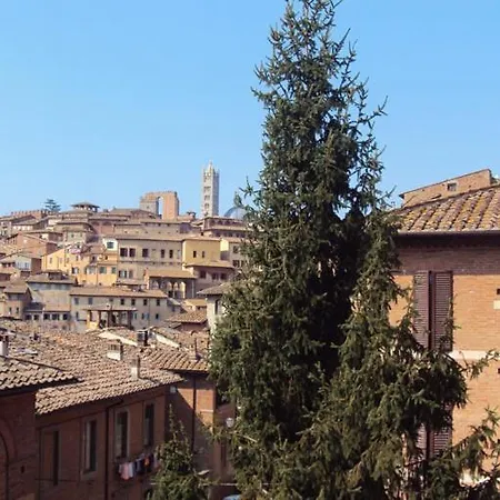 Vicolo Dell'oro